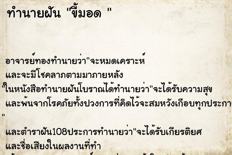 ทำนายฝัน ขี้มอด 